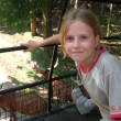 Safari Dv�r Kr�lov�